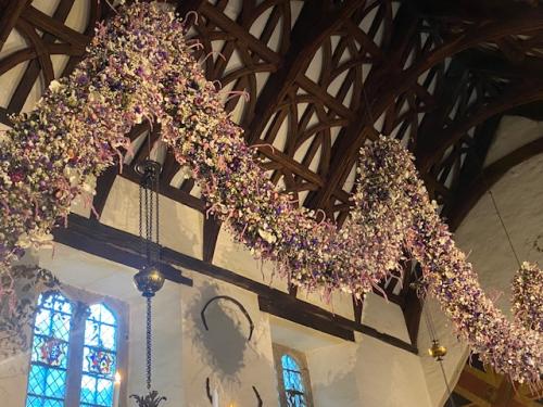 Sixty Feet of Charming Festive Bloom ,  Cotehele
