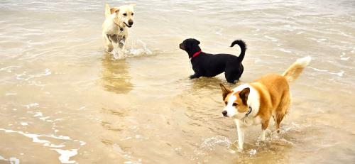 Autumnal Adventures in Cornwall !